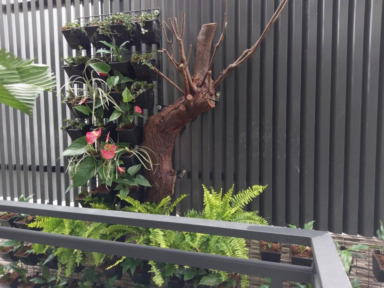Yuan Places Taitung Екстер'єр фото